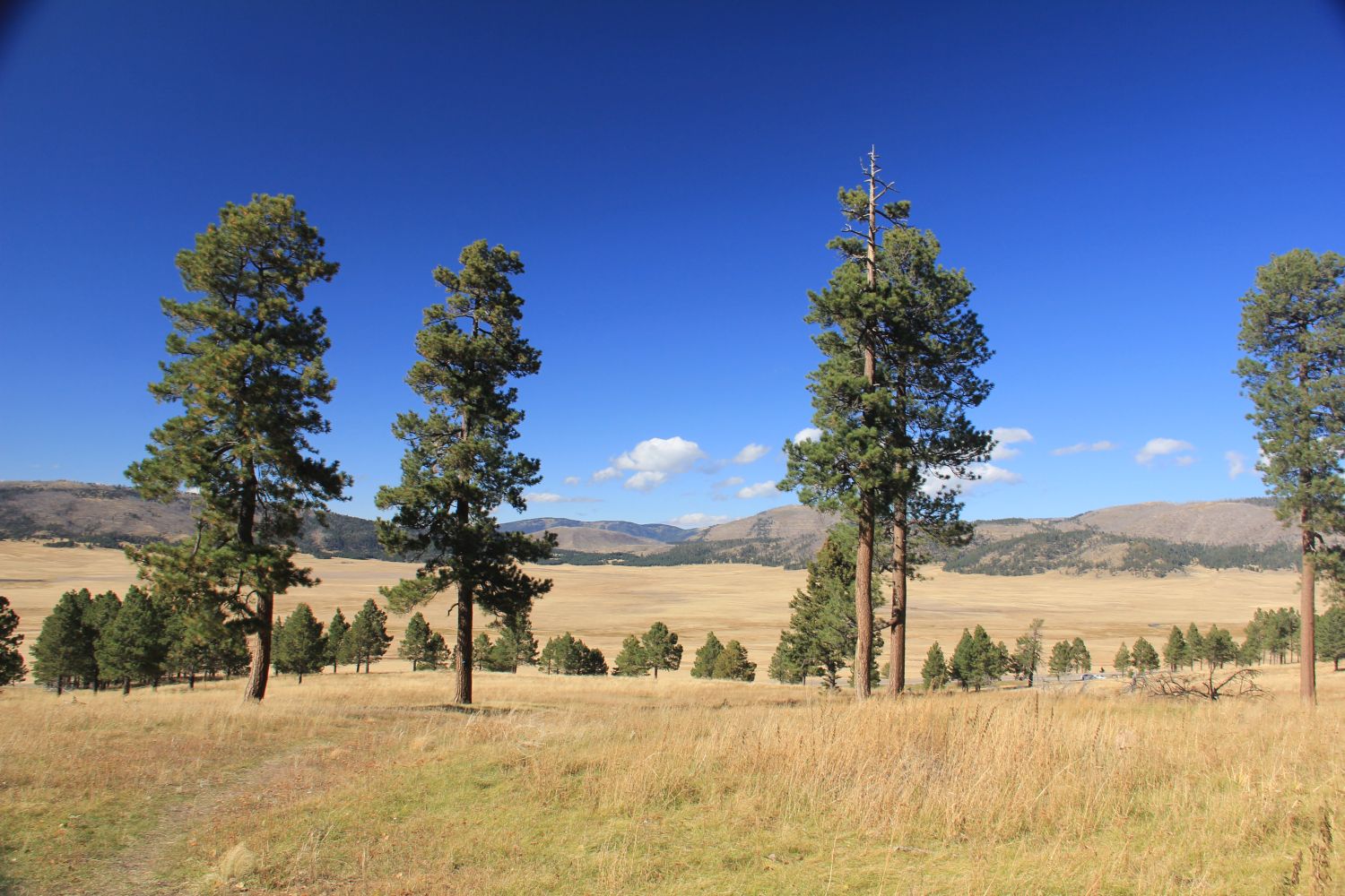 Valles Caldera National Preserve 